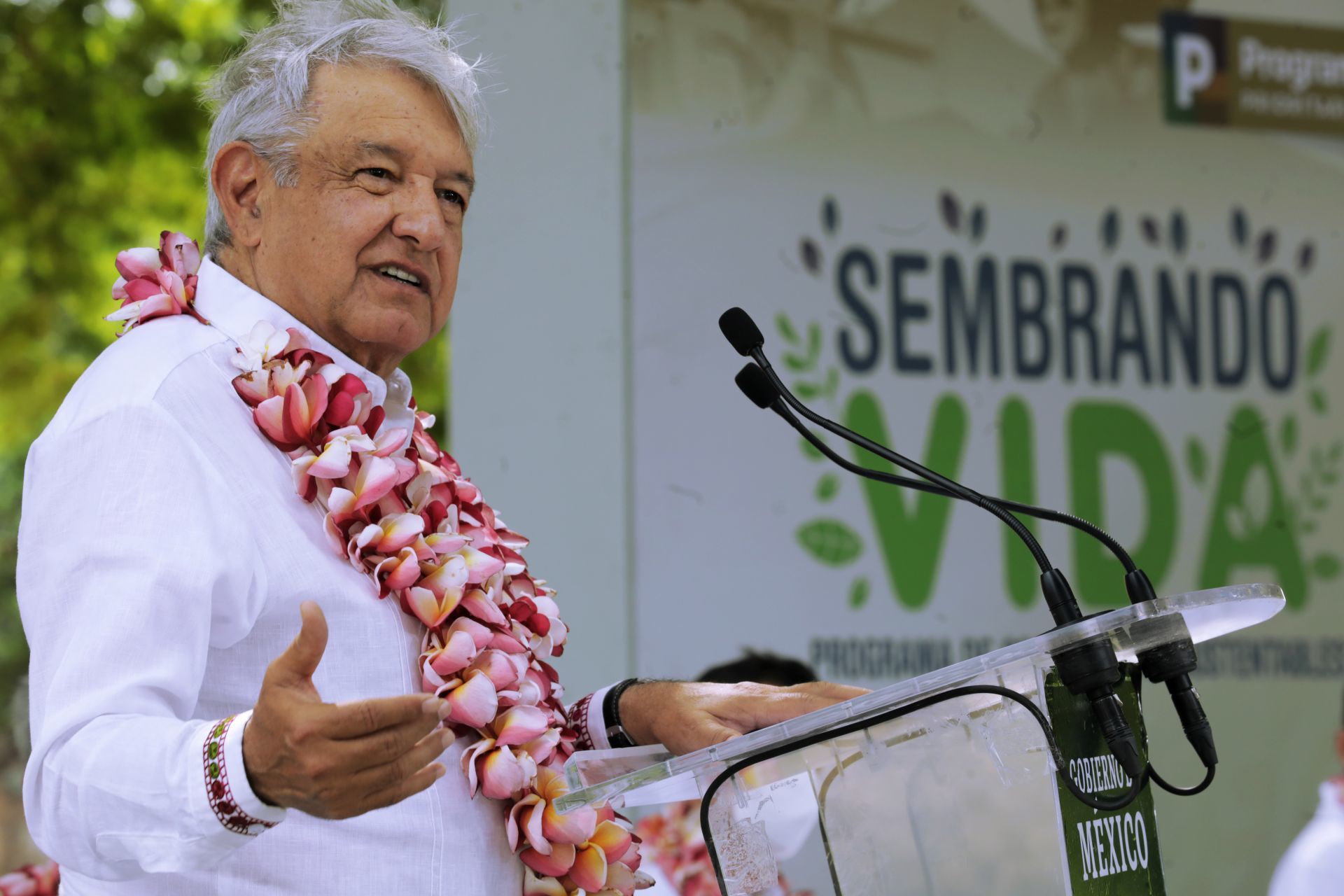 programa Sembrando Vidas